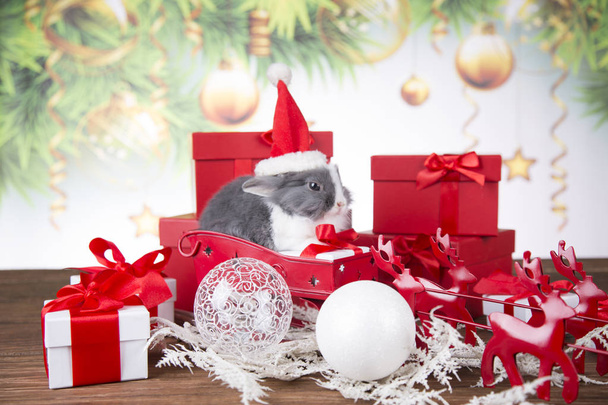 Christmas decoration, Christmas Rabbit and gifts, Santa's sleigh - Φωτογραφία, εικόνα