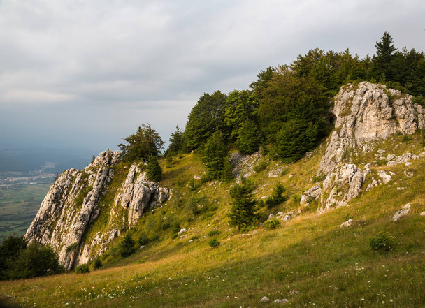 Summer panorama of Montenegrin mountain range in Carpathians - Foto, Imagem