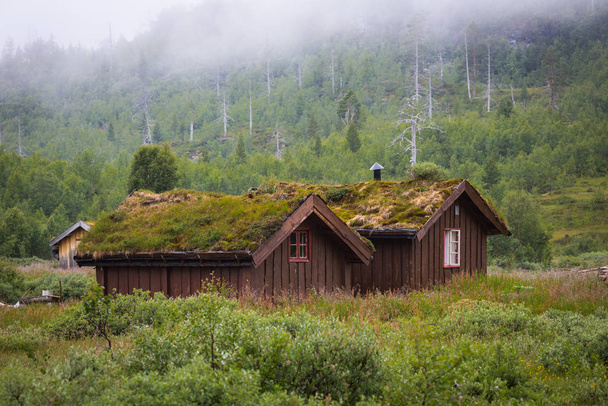 Norwegian house with grass roof - Foto, afbeelding