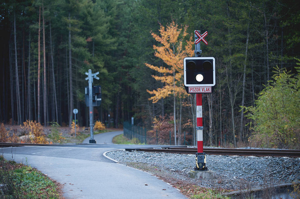 Ungeschützter Bahnübergang im Wald. - Foto, Bild