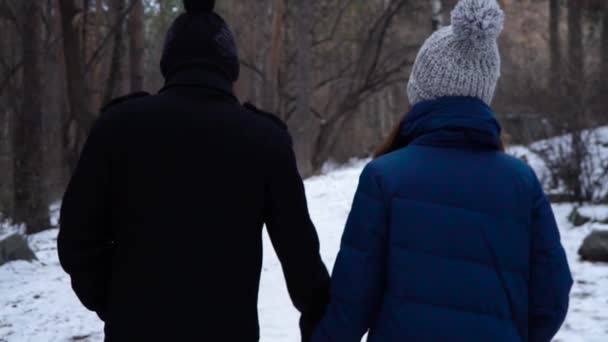 Pár v lásce navzájem drží ruce, chodit v zimě po lesní cestě. Zadní pohled na mladý pár v parku v zimě - Záběry, video