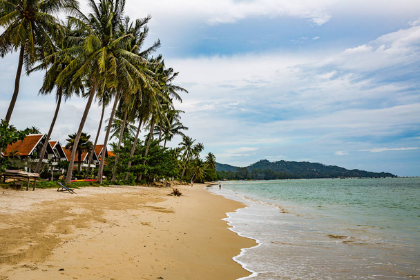 Houses on beach with palm trees in Thailand - Fotoğraf, Görsel