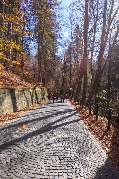 Kopfsteinpflasterweg zur Burg Peles. Weitschuss. Herbst bunten Wald an den Seiten. Sinaia, Rumänien - Foto, Bild