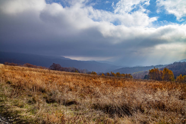Landscape of autumnal peaks of the Carpathians. Eastern Carpathians, Poland. - Фото, изображение