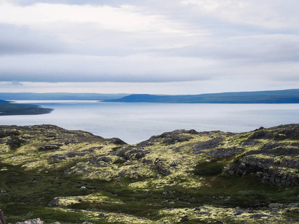 La beauté de l'été nordique dans la toundra
 - Photo, image