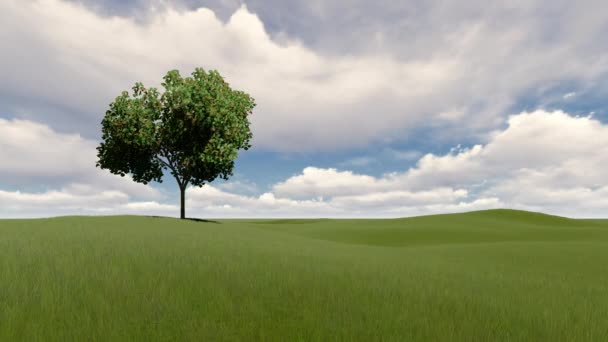 Een boom ou bewolkte hemel en gras - Video
