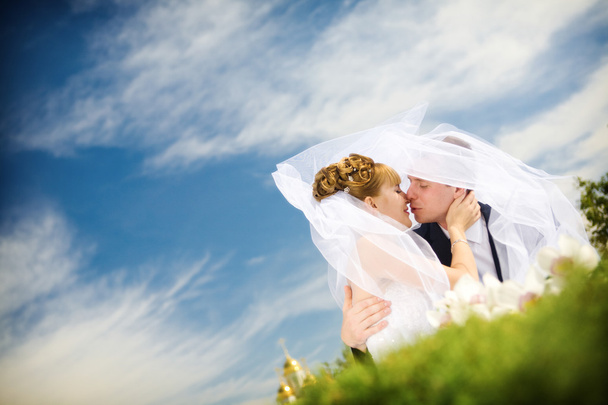 Kiss of bride and groom - Fotoğraf, Görsel