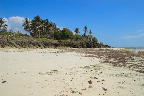 Laskuvesi Diani Beachillä, Intian valtameren rannikolla. Kenia, Afrikka
 - Valokuva, kuva