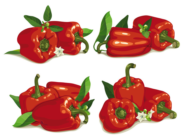 set of red pepper - Vektori, kuva