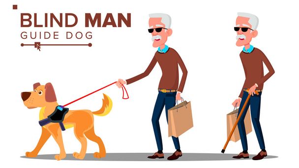 Vecchio cieco con occhiali scuri, canna in mano e vettore di cani guida. Illustrazione isolata del fumetto
 - Vettoriali, immagini