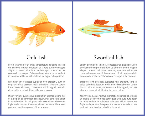 Red goldfish and colorful swordtail fish isolated on white. Freshwater aquarium fish icons on blank background in cartoon style vector illustration - Vector, imagen