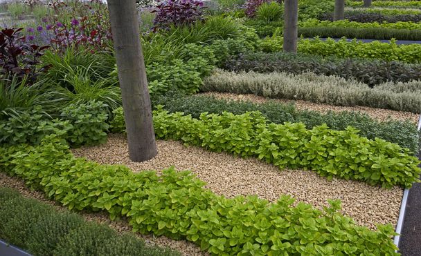 Un giardino di erbe ben strutturato
 - Foto, immagini