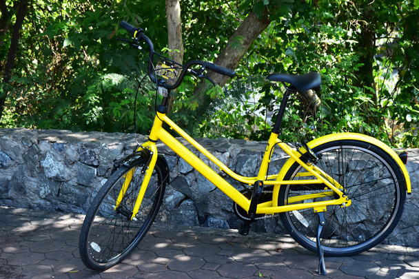 Yellow Bicycle parking near the stone wall - 写真・画像