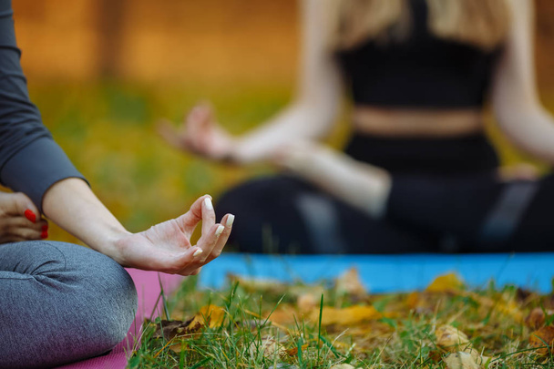 Young practitioners doing yoga exercises in park. Women meditate outdoor infront of beautiful autumn nature. Hands coseup, selective focus. - Fotoğraf, Görsel