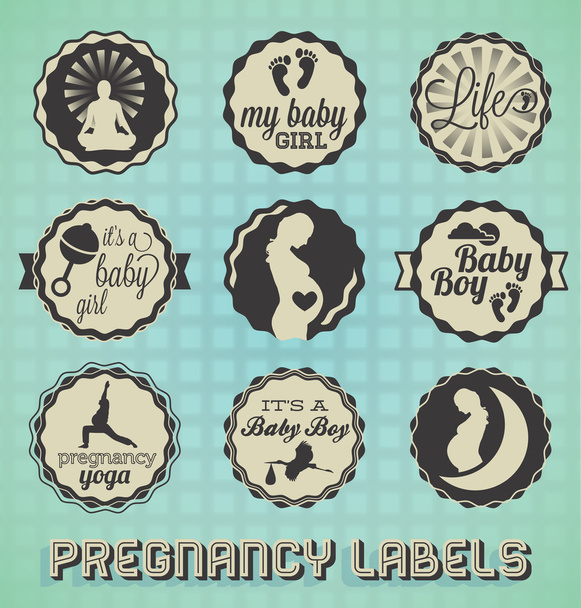 Vector Set: Vintage Pregnancy Labels and Icons - Vector, Image