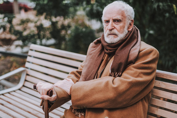 Stylish bearded gentleman in coat sitting on bench - Zdjęcie, obraz