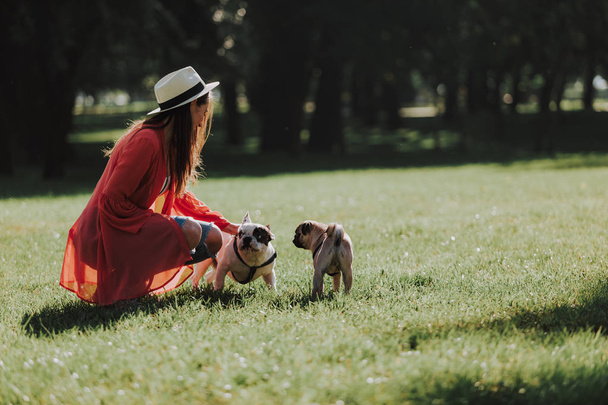 Cute woman is stroking dogs in park - Fotó, kép