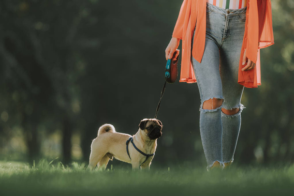 Cute pug with his owner is walking in park - Foto, afbeelding