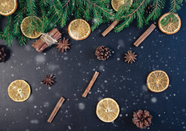 Christmas Tree Pine Branches with dry oranges. cinnamon, anise on a dark background. - Foto, Imagem