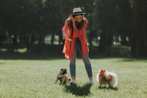 Cheerful lady in hat is walking with two dogs - Fotografie, Obrázek