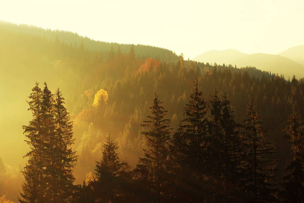 Rayos del sol de la tarde rompiendo a través de las nubes y la niebla a la pradera de hermoso bosque en las montañas
 - Foto, Imagen