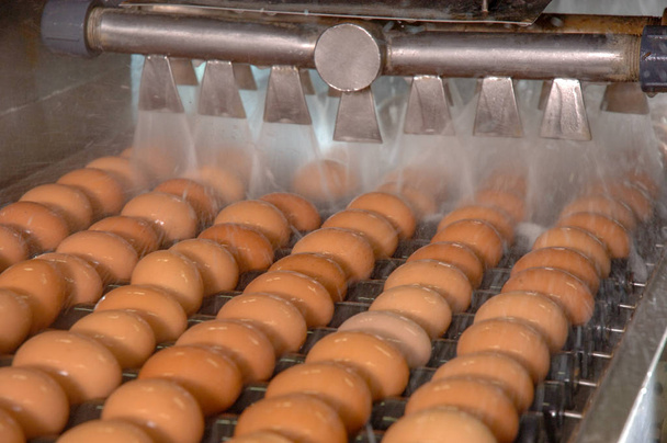 Εργοστάσιο αυγό στο πλύσιμο γραμμή παραγωγής με φρέσκα αυγά είναι προετοιμασία για το πακέτο στην αυτοματοποίηση εργοστάσιο επεξεργασίας τροφίμων. - Φωτογραφία, εικόνα