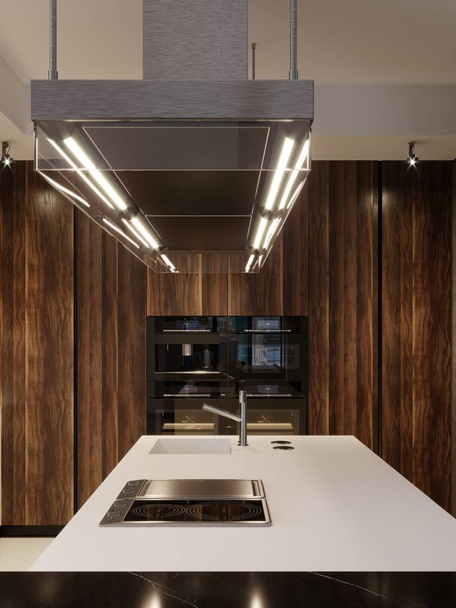 Kitchen design hood and built-in kitchen appliances in a modern kitchen. 3d rendering. - Zdjęcie, obraz