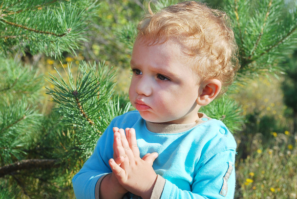 Kleiner Junge im Wald - Foto, Bild
