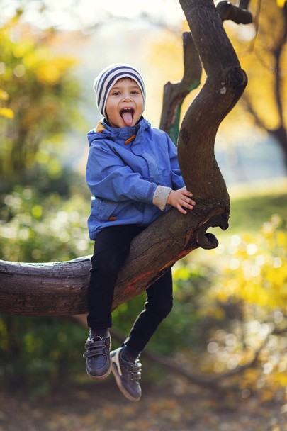 Küçük bir çocuk bir ağaç dalına oturur ve dilini gösterir. ağaç üzerinde sürünerek bebek - Fotoğraf, Görsel
