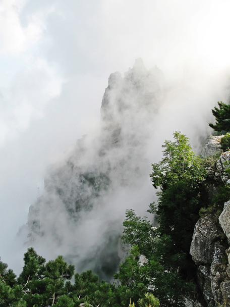 Ai-Petri vuori savupilvessä
 - Valokuva, kuva
