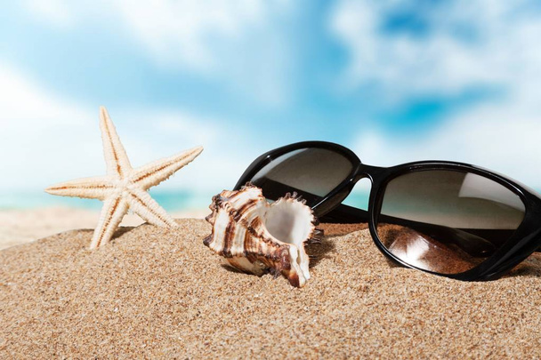 black sunglasses and shells on sandy beach  - Foto, Bild