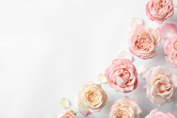 Flat lay composition with beautiful roses and space for text on white background - Fotografie, Obrázek