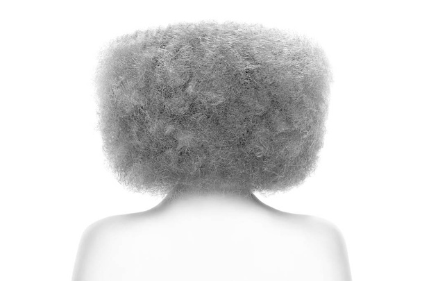 Silueta de una joven con un gran peinado posando sobre un fondo blanco. Vista trasera
 - Foto, imagen