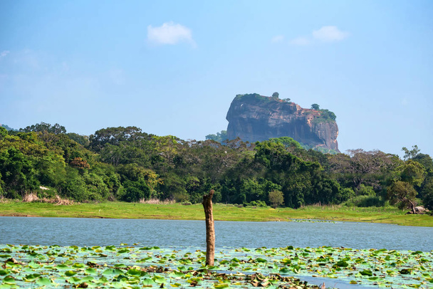 Вид на скалу Сигирия или скалу Лион в Шри-Ланке
 - Фото, изображение