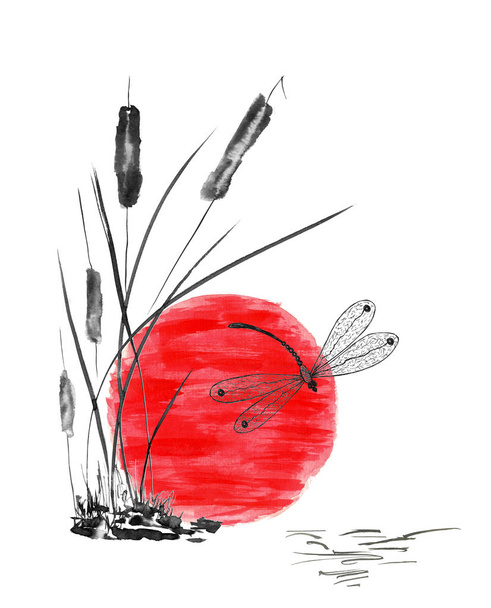 Dragonfly and bulrush, red sun. Watercolor and ink illustration in style sumi-e, u-sin, go-hua. Oriental traditional painting. Isolated.  - Fotografie, Obrázek