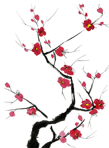 A branch of a blossoming tree. Pink and red stylized flowers of plum mei, wild apricots and sakura . Watercolor and ink illustration in style sumi-e, u-sin. Oriental traditional painting.   - Foto, Bild