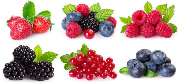 collection of berries isolated on white background - Zdjęcie, obraz