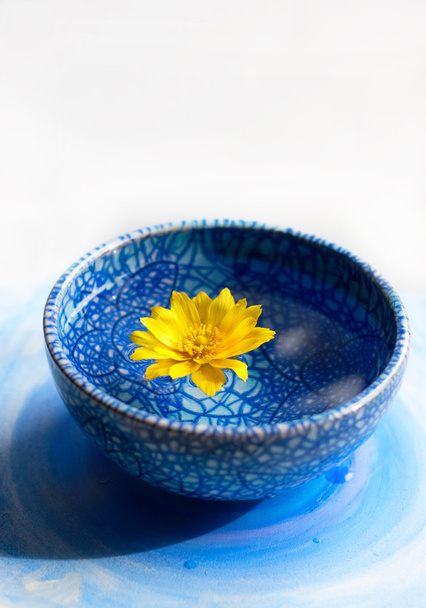 κίτρινο λουλούδι στο μπλε Κύπελλο - Φωτογραφία, εικόνα