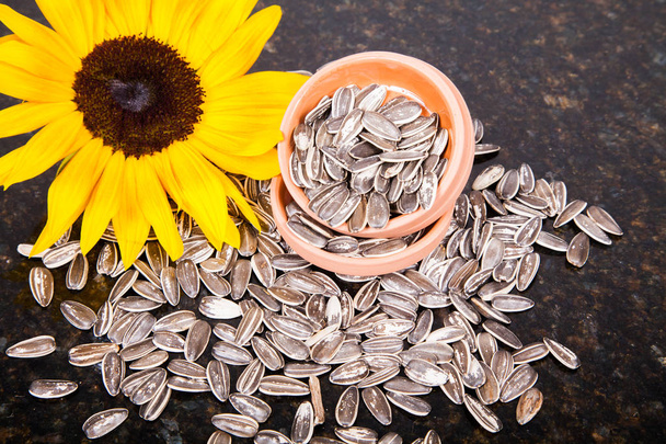 pile of sunflower seeds - Photo, Image