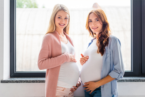 smiling pregnant women standing near window and looking at camera  - Fotoğraf, Görsel
