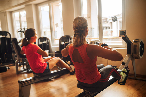 Rückansicht junger fitter Frauen, die im Fitnessstudio mit Rudergerät trainieren - Foto, Bild