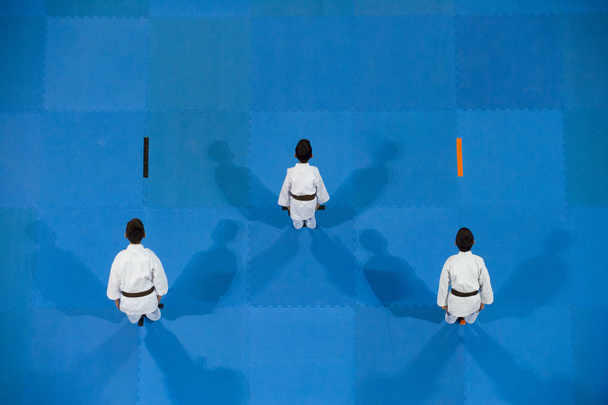 Karate çocuklar mavi arka plan yapmak. Üstten görünüm. Spor Yarışması. - Fotoğraf, Görsel