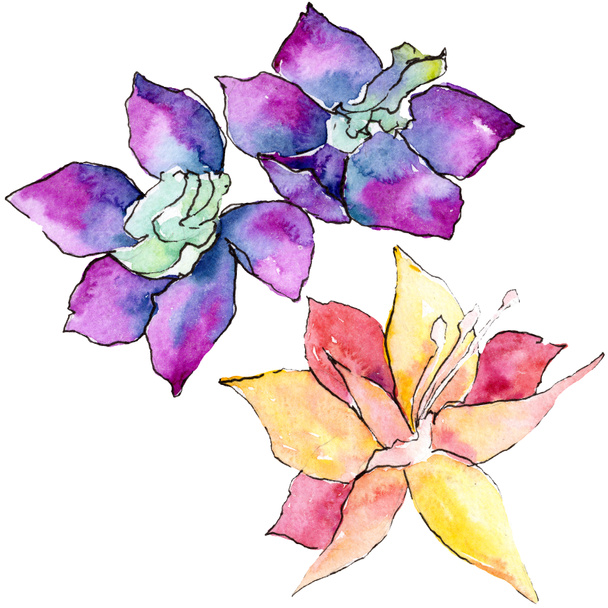 Flores de orquídea púrpura y amarilla. Elemento de ilustración aislado. Ilustración de fondo acuarela. Flores de acuarela dibujadas a mano
. - Foto, Imagen