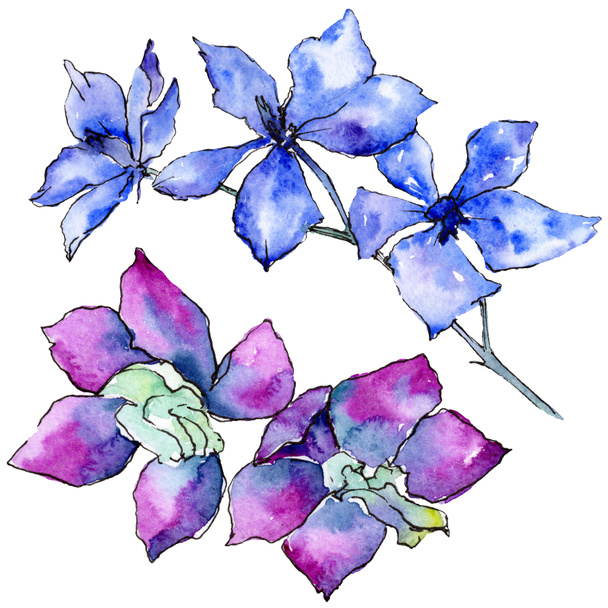 Fioletowy i niebieski kwiaty orchidei na białym tle. Ilustracji tle akwarela. Ręcznie rysowane aquarelle kwiaty. - Zdjęcie, obraz