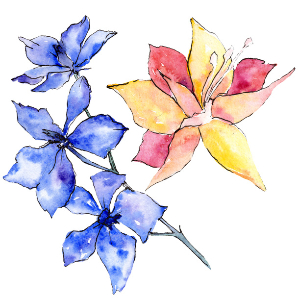 Purple and yellow orchid flowers. Isolated illustration element. Watercolor background illustration. Hand drawn aquarelle flowers. - 写真・画像