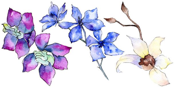 Purple and white orchid flowers isolated on white. Watercolor background illustration. Hand drawn aquarelle flowers. - Фото, зображення