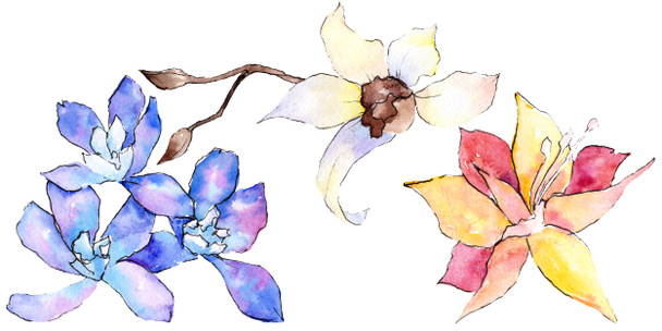 Purple, yellow and white orchid flowers isolated on white. Watercolor background illustration. Hand drawn aquarelle flowers. - Фото, изображение