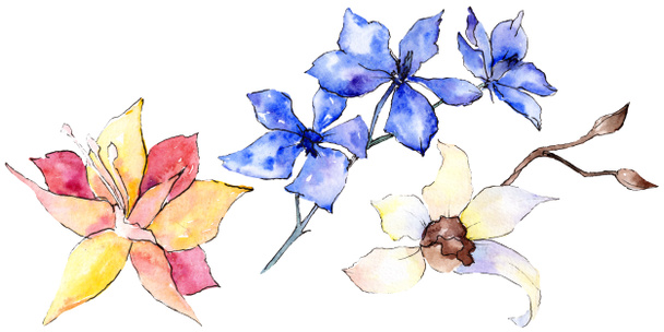 Purple, yellow and white orchid flowers isolated on white. Watercolor background illustration. Hand drawn aquarelle flowers. - Fotó, kép
