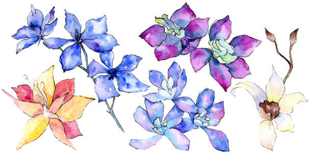 Paars, geel en wit orchideebloemen geïsoleerd op wit. Aquarel achtergrond illustratie. Hand getekende aquarelle bloemen. - Foto, afbeelding