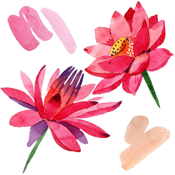 Red lotus flowers. Isolated illustration element. Watercolor background illustration. Hand drawn in aquarell. - Photo, Image